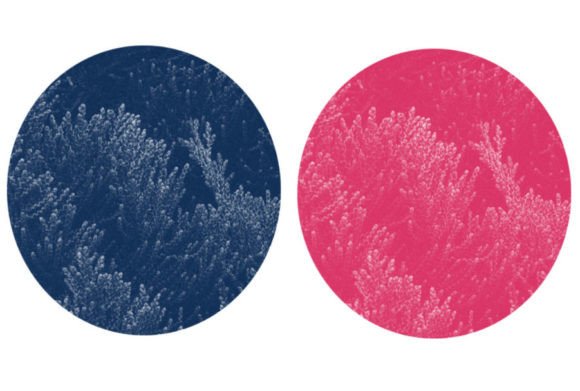 Brush 47: Strategic Application for Precision and Creative Control
