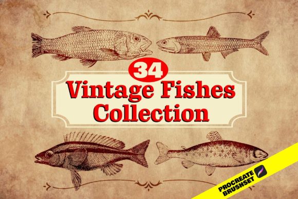 Mastering Nautical Illustration with the 34 Retro Fish Stamp Brush for Procreate