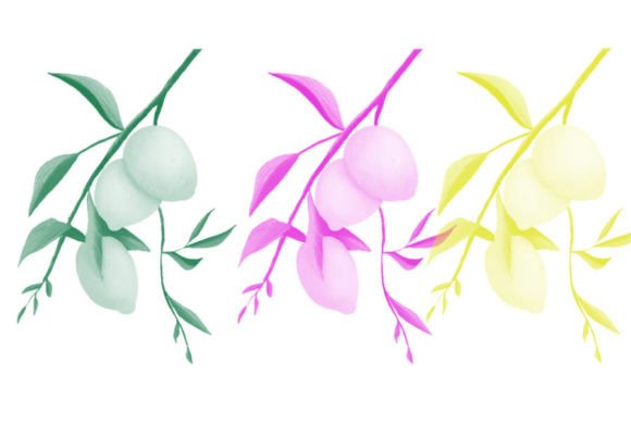 Nice and Wounderful Brush 28: Elevate Your Design